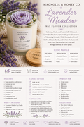Lavender Meadow