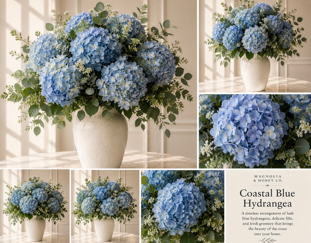 Coastal Blue Hydrangea